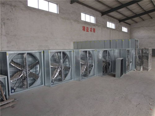專業(yè)降溫解決方案 塑料廠負壓降溫風(fēng)機與偉達冷風(fēng)機的應(yīng)用與咨詢